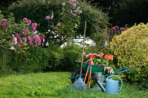 Tree lopping service in Tooting