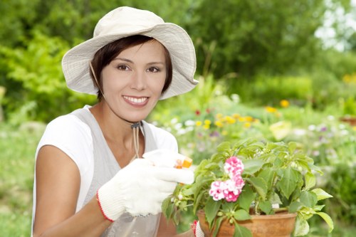 Variety of plants suitable for Tooting gardens