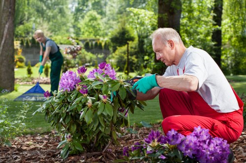Gardener in Tooting working on a residential garden
