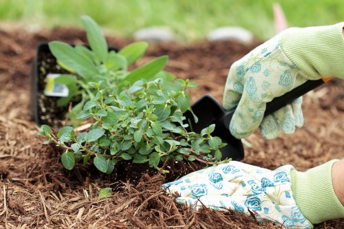 Our professional gardening team in action