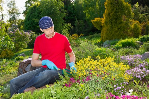 Eco-friendly hedge trimming practices in a vibrant garden