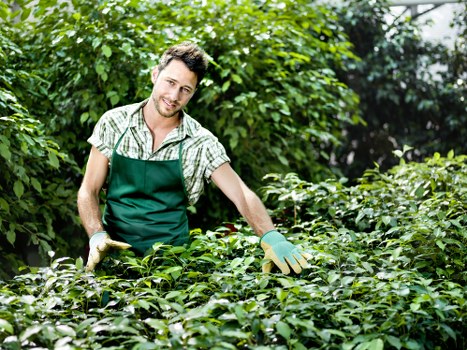 Diverse plant selection for a thriving Tooting garden